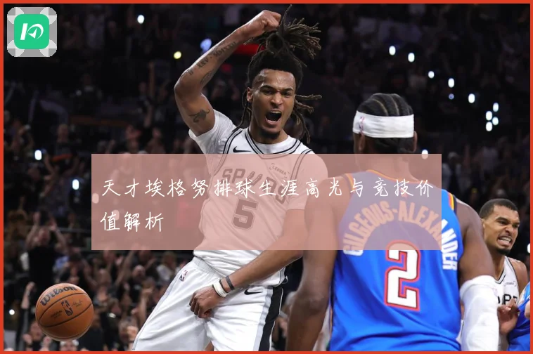天才埃格努排球生涯高光与竞技价值解析