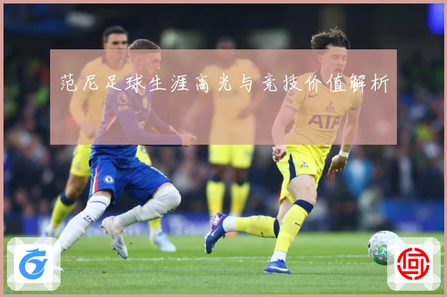 范尼足球生涯高光与竞技价值解析