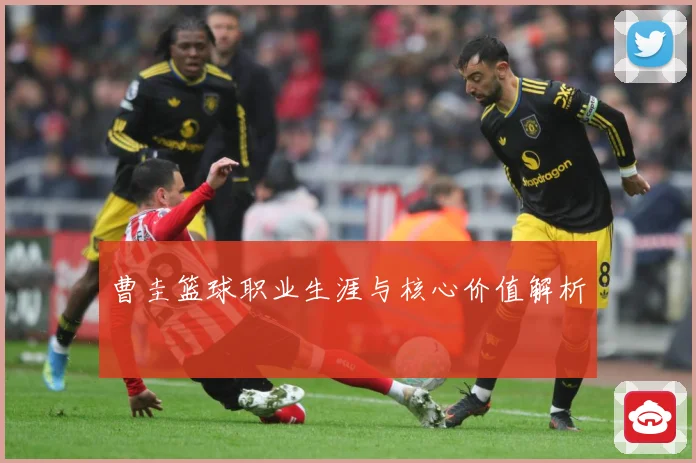 曹圭篮球职业生涯与核心价值解析
