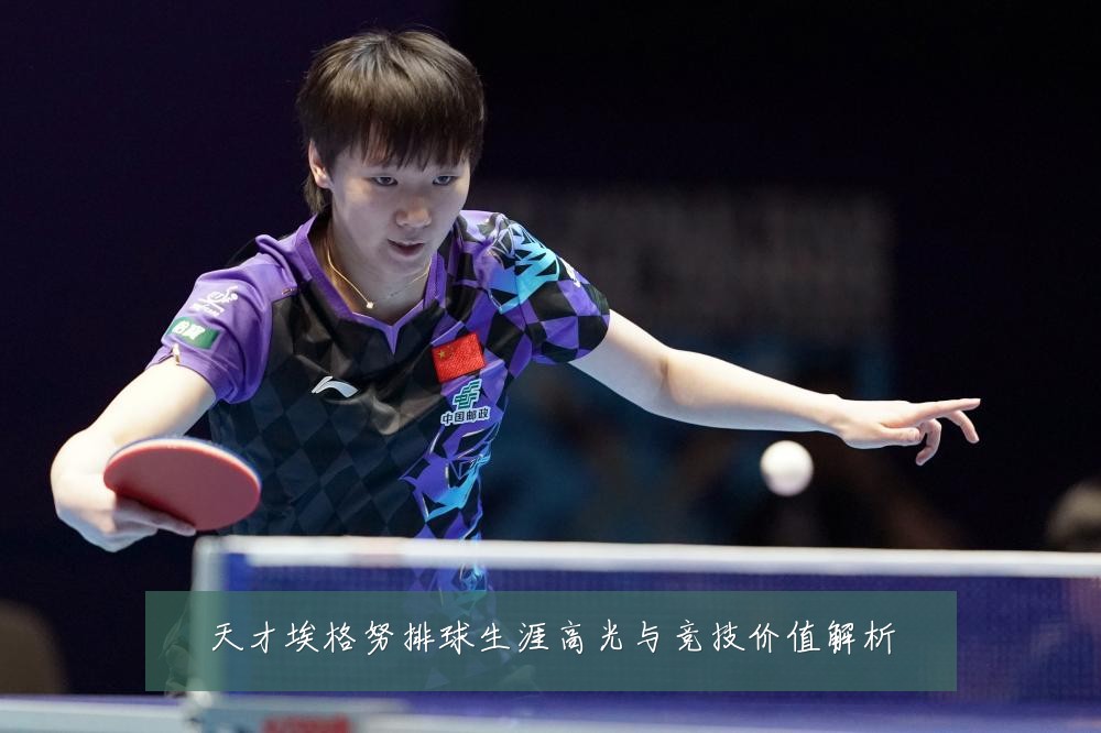 天才埃格努排球生涯高光与竞技价值解析